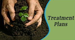 Planting - Outreach Program