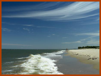 Beach - Environmental Issues